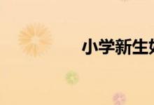 小学新生如何网上报名?