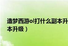造梦西游ol打什么副本升级宠物快（《西游3》新手巧用副本升级）