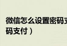 微信怎么设置密码支付方式（微信怎么设置密码支付）