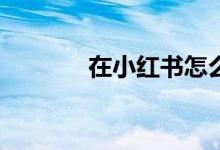 在小红书怎么查找小学知识？