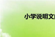 小学说明文的四大说明方法