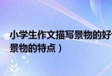 小学生作文描写景物的好句子（小学生怎样在作文中描写出景物的特点）