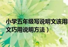 小学五年级写说明文该用哪些题材（小学五年级习作：说明文巧用说明方法）