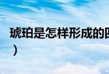 琥珀是怎样形成的四年级（琥珀是怎样形成的）