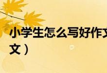 小学生怎么写好作文最好（小学生怎么写好作文）