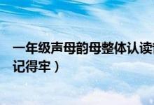 一年级声母韵母整体认读音节表（整体认读音节怎么教孩子记得牢）