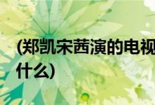 (郑凯宋茜演的电视剧 郑凯宋茜演的电视剧是什么)