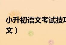 小升初语文考试技巧（小升初学生复习妙方语文）