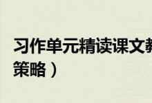 习作单元精读课文教学策略（其他课文的教学策略）
