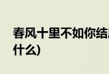 春风十里不如你结局(春风十里不如你结局是什么)