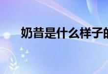 奶昔是什么样子的图片（奶昔是什么）