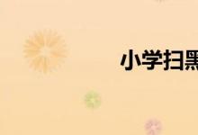 小学扫黑除恶手抄报