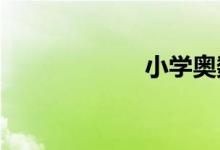 小学奥数学习方法