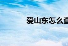 爱山东怎么查询小学录取结果