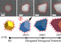 水稻化学家发现四面体形纳米粒子受控生长的机制