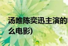 汤唯陈奕迅主演的电影(汤唯陈奕迅合作过什么电影)