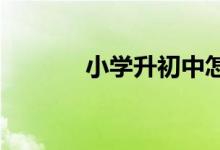 小学升初中怎么查询录取学校