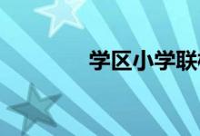 学区小学联校教研活动计划