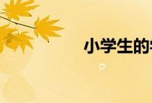 小学生的学习必备神器