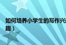 如何培养小学生的写作兴趣教案（如何培养小学生的写作兴趣）