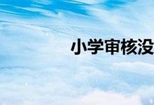 小学审核没有通过怎么办？