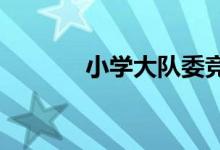 小学大队委竞选申请表怎么做