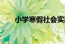 小学寒假社会实践活动记录表怎么填