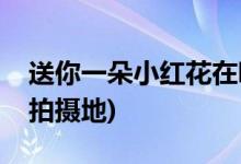 送你一朵小红花在哪儿拍的(送你一朵小红花拍摄地)