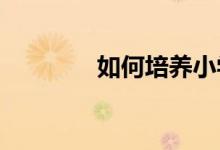 如何培养小学生的语文素养
