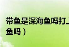 带鱼是深海鱼吗打上来有活的吗（带鱼是深海鱼吗）