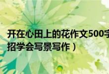 开在心田上的花作文500字（写景作文无处下手？心田花开8招学会写景写作）