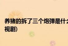 养猪的拆了三个炮弹是什么电视剧(养猪的拆了三个炮弹的电视剧)