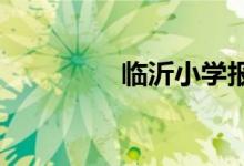 临沂小学报名网上怎么报