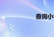 查询小学作文素材