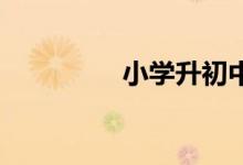 小学升初中网上怎么报名