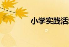 小学实践活动怎么汇报展示