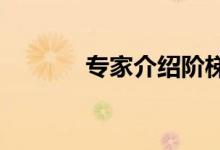 专家介绍阶梯式作文训练方法