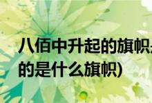 八佰中升起的旗帜是什么旗(电影八佰中升起的是什么旗帜)