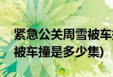 紧急公关周雪被车撞是第几集(紧急公关周雪被车撞是多少集)