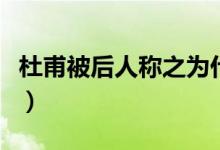 杜甫被后人称之为什么（杜甫被后人称为什么）