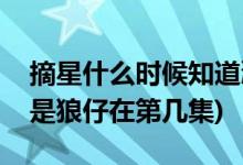摘星什么时候知道渤王是狼仔(摘星知道渤王是狼仔在第几集)