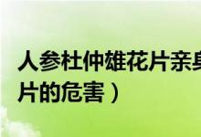 人参杜仲雄花片亲身使用感受（人参杜仲雄花片的危害）