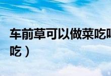 车前草可以做菜吃吗（车田草不能和什么一起吃）