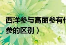 西洋参与高丽参有什么区别吗（高丽参和西洋参的区别）