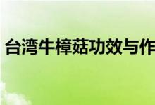 台湾牛樟菇功效与作用价格（牛樟菇的作用）