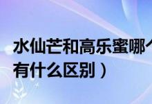 水仙芒和高乐蜜哪个口感好（高乐蜜和水仙芒有什么区别）