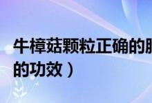 牛樟菇颗粒正确的服用方法（台湾牛樟菇胶囊的功效）