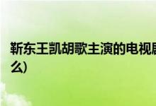 靳东王凯胡歌主演的电视剧(靳东王凯胡歌主演的电视剧是什么)