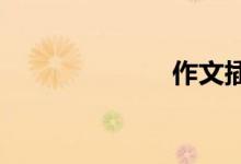 作文插图怎么画