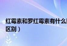 红霉素和罗红霉素有什么区别吗（红霉素和罗红霉素有什么区别）